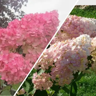 Комплект МНОГОГРАННОСТЬ в Осиповичах