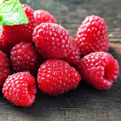 Малина ЭРИКА в Осиповичах