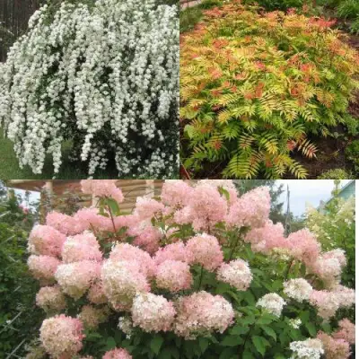 Комплект ФЕЙЕРВЕРК ЛЕТА в Осиповичах