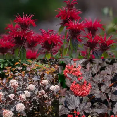 Комплект ОГНЕННЫЙ МИКС в Осиповичах