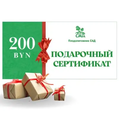 Подарочный сертификат на 200 BYN в Осиповичах