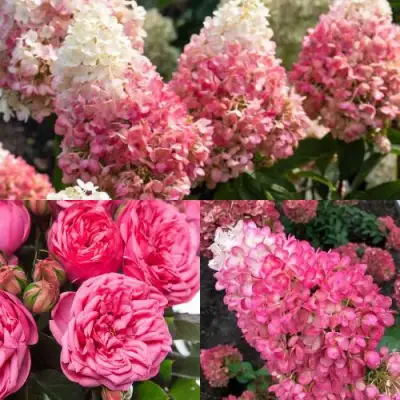 Комплект МАЛИНОВЫЙ ДЕСЕРТ в Осиповичах