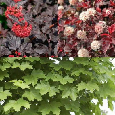 Комплект ОСЕННИЙ КОСТЕР в Осиповичах