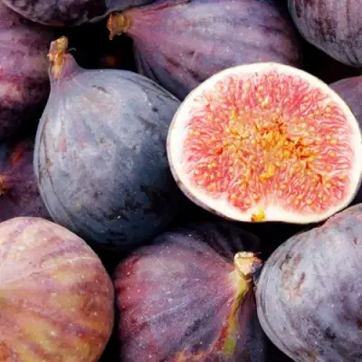 Инжир МУАССОН в Осиповичах