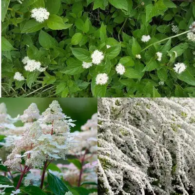 Комплект СКАНДИНАВСКИЙ СТИЛЬ в Осиповичах