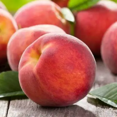 Персик МАЙСКИЙ ЦВЕТОК в Осиповичах