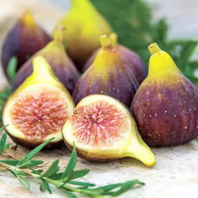 Инжир НИКИТСКИЙ в Осиповичах