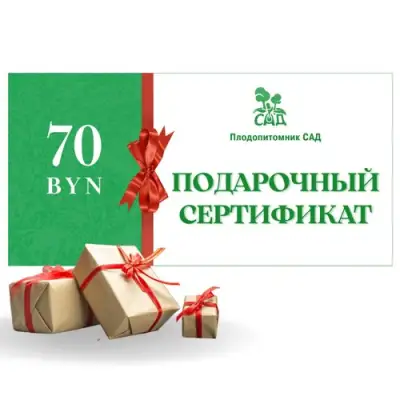 Подарочный сертификат на  70 BYN в Осиповичах