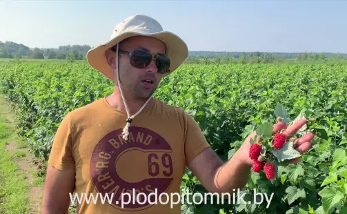 Превью видео