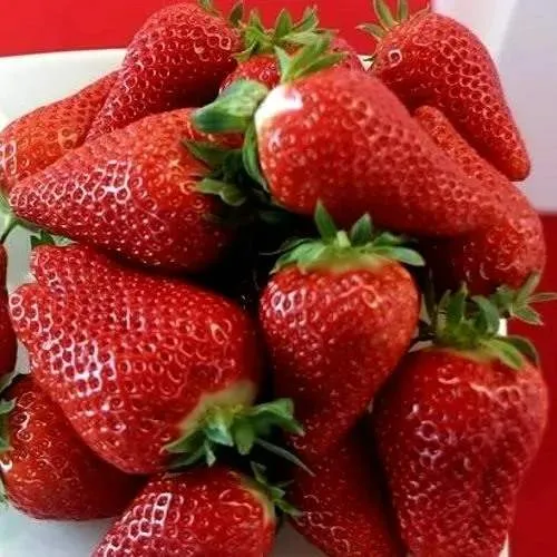 Клубника БРИЛЛА  Клубника БРИЛЛА в Осиповичах