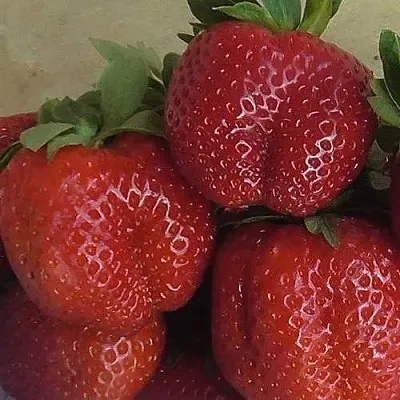 Клубника ДЕСТЕНИ в Осиповичах