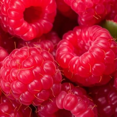 Красная в Осиповичах