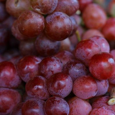 Красный в Осиповичах