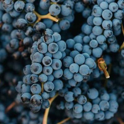 Технический в Осиповичах