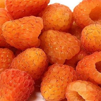 Оранжевая в Осиповичах